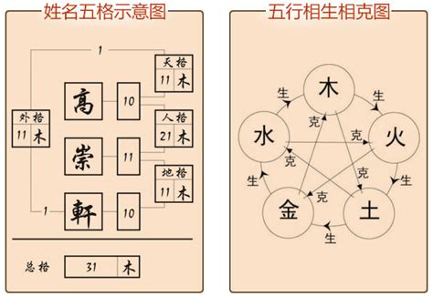 名字 分析|姓名解析 